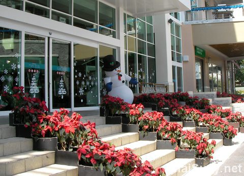 ny5 Новый Год к нам мчится!